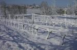 Snow on Monteberiot vineyards